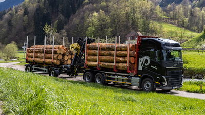 Ein schwarzer Holztransport-LKW mit Baumstämmen auf Anhänger fährt durch eine grüne Landschaft mit Hügeln und Wäldern im Hintergrund.